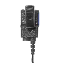 C+PTT-Back - NO LOGO.webp