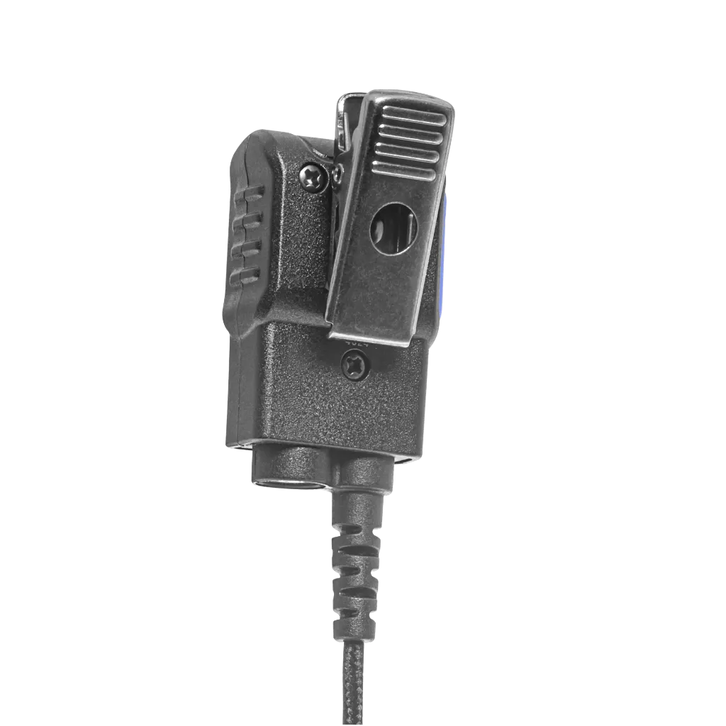 C+PTT-ProfileBack - NO LOGO.webp