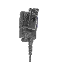 C+PTT-ProfileBack - NO LOGO.webp